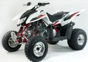  Квадроцикл ACCESS SP 300 SPORT