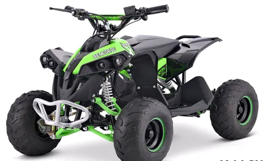 Квадроцикл YACOTA RENEGADE MINI