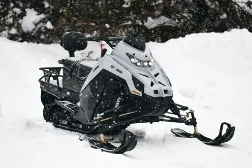Снегоход IRBIS SF300PRO